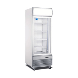 Snow LD-500F 500L Single Door Upright Display Freezer| Macro Store