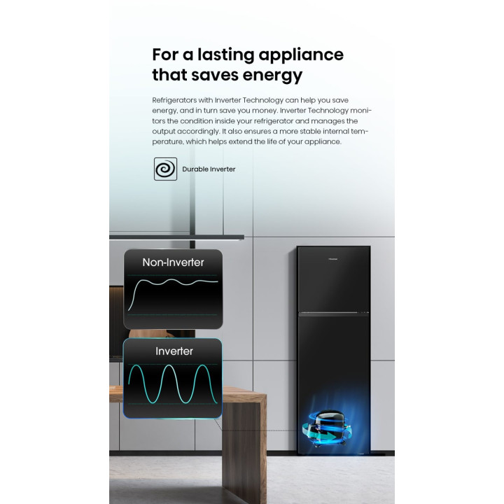 Hisense 206L INVERTER RT220N4ABN 2-Door Refrigerator
