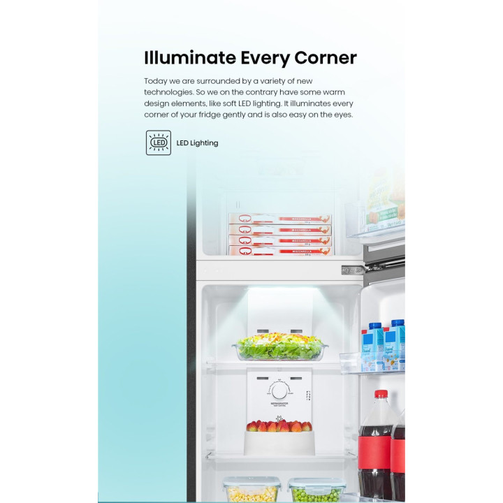 Hisense 206L INVERTER RT220N4ABN 2-Door Refrigerator