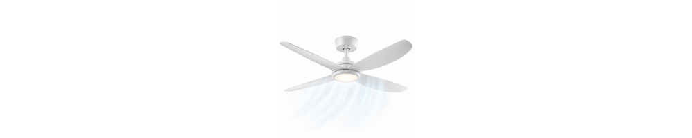 Ceiling Fans