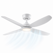 Ceiling Fans