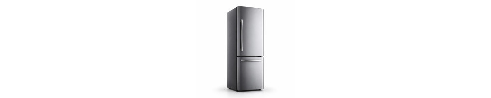 2-Door Fridges